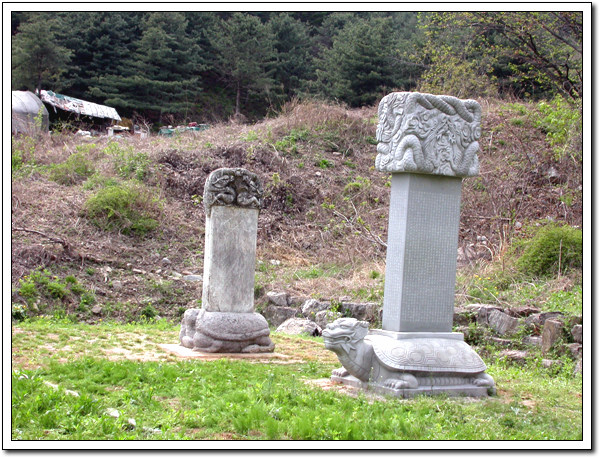 ankim04-22z1099.jpg