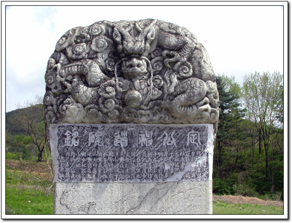 ankim04-22z1119.jpg