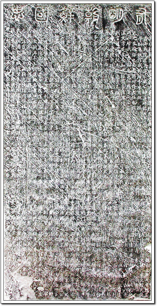 ankim04-22z1127.jpg