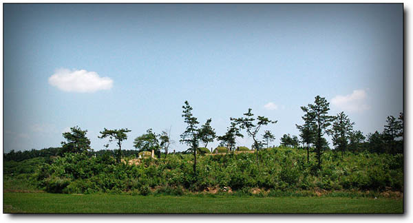 ankim04-22z2106.jpg