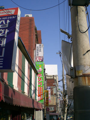 ankim02-3-7j.jpg