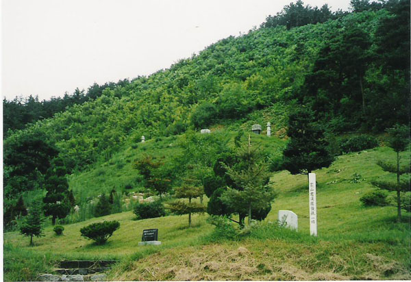 ankim02-6-13o.jpg
