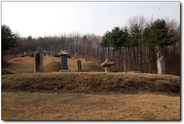 ankim02-6-33b.jpg