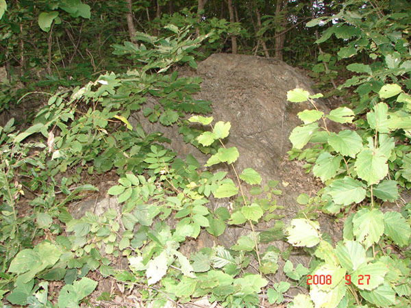 ankim02-6-33s.jpg