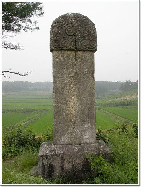 ankim02-6-38c.jpg