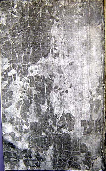 ankim02-6-66e.jpg