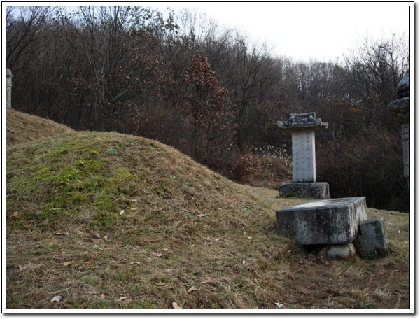 ankim02-6-68j.jpg