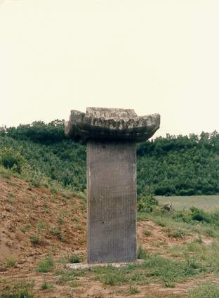 ankim04-11z721.jpg