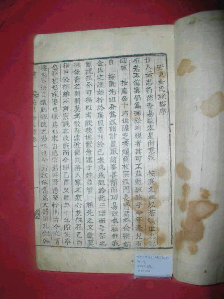 ankim04-13z200.jpg