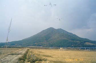 ankim04-14z16.jpg