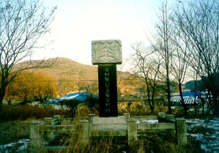 ankim04-18z75.jpg