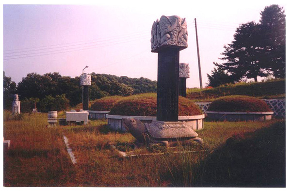 ankim04-7d.jpg