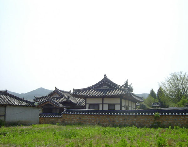 ankim04-9y.jpg