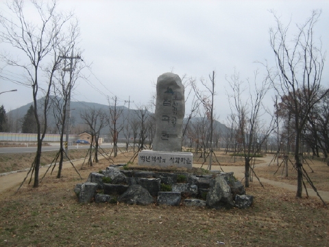 ankim04-9z315.jpg