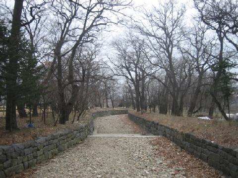 ankim04-9z316.jpg