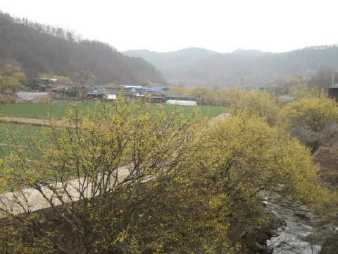 ankim04-9z321.jpg