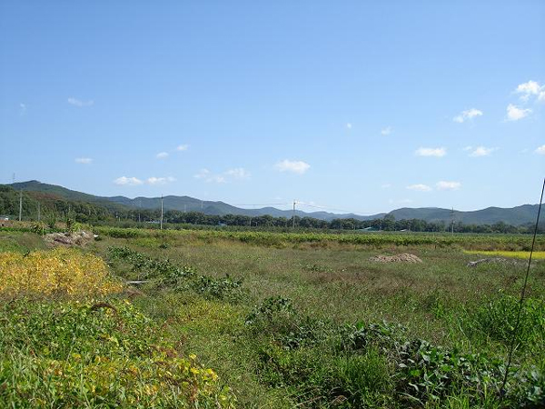 ankim04-9z322.jpg